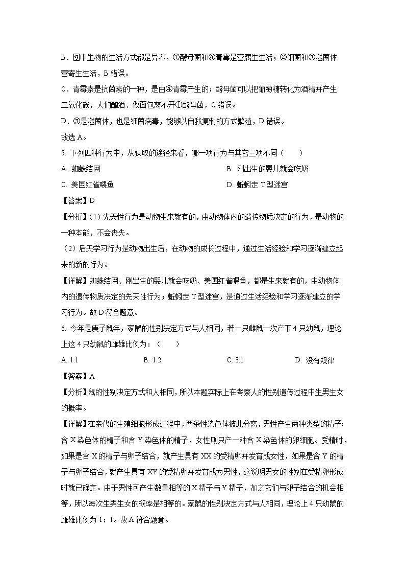 2025年江苏省盐城市大丰区八年级中考一模生物试题（解析版）第3页