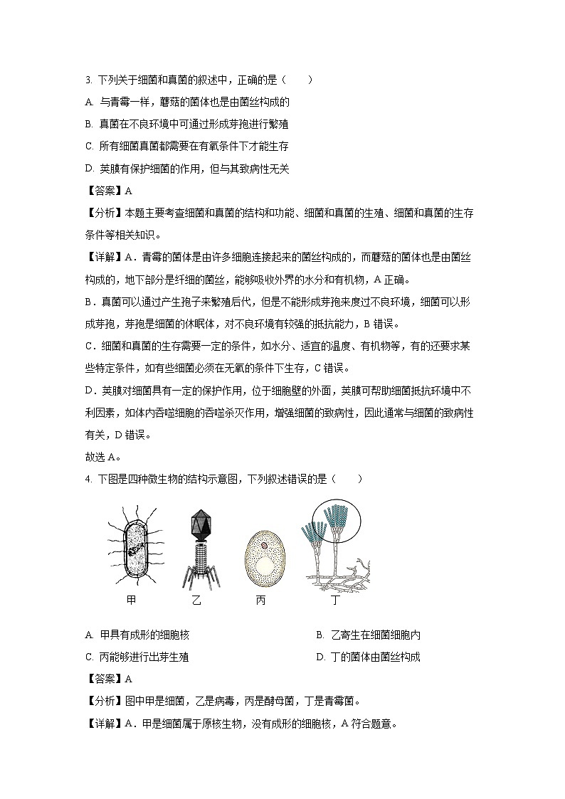 2025年江苏省淮安市金湖县九年级中考一模生物试题（解析版）第2页