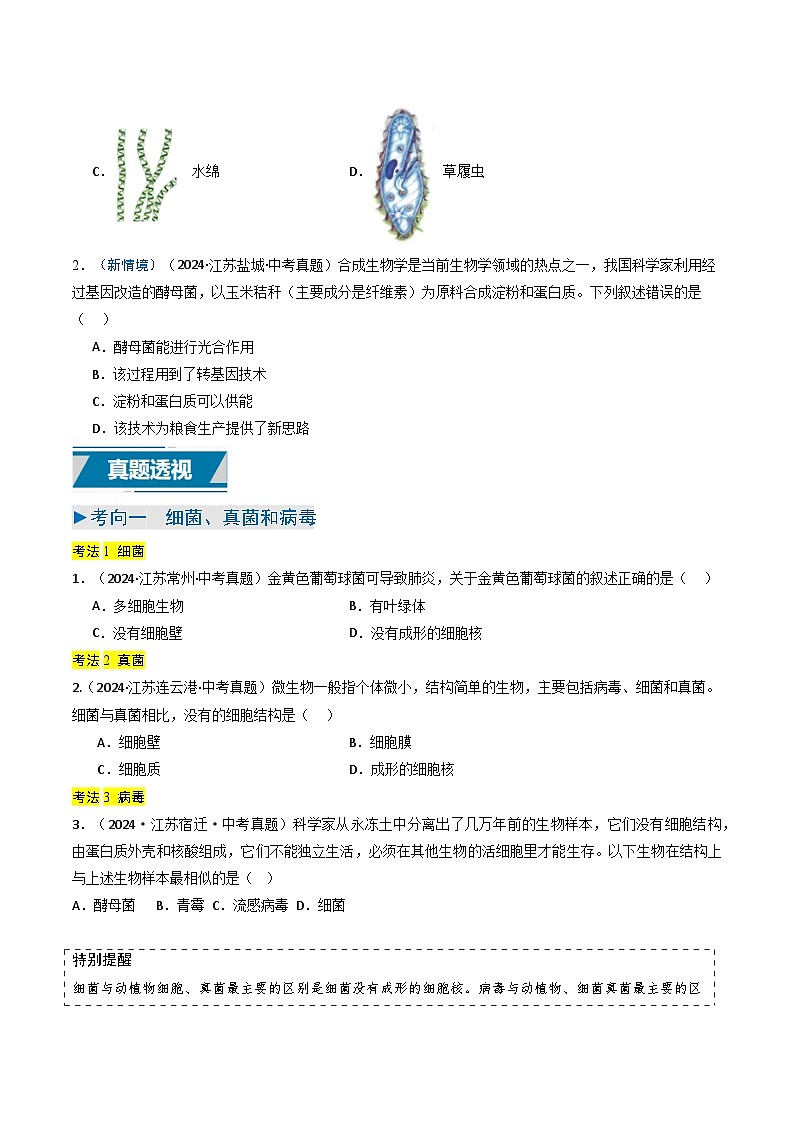 备战2025年中考生物真题分类汇编（江苏专用）专题03细菌、真菌和病毒（原卷版）第2页