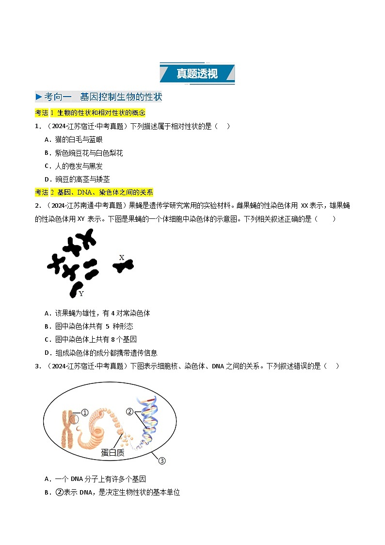 备战2025年中考生物真题分类汇编（江苏专用）专题12生物的遗传、变异和进化（原卷版）第3页