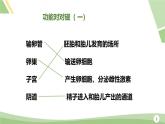 人教版（2024）初中七年級下冊生物-第四單元-第一章-第一節(jié)-人的生殖（課件）