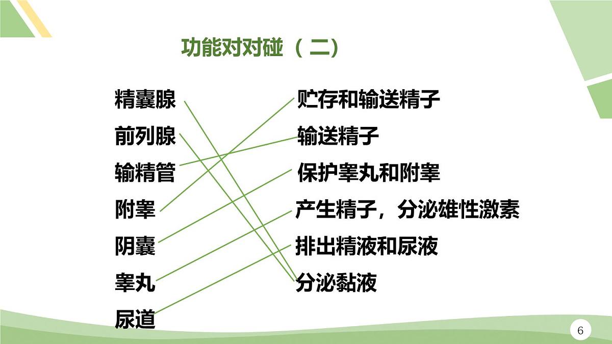 人教版（2024）初中七年级下册生物-第四单元-第一章-第一节-人的生殖（课件）第6页