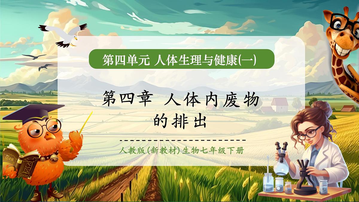 4.5人体内废物的排出 课件第1页