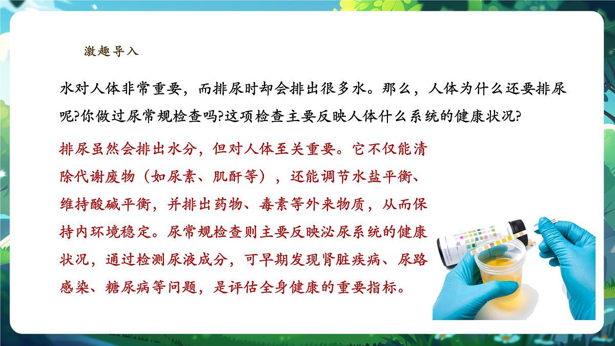 4.5人体内废物的排出 课件第3页