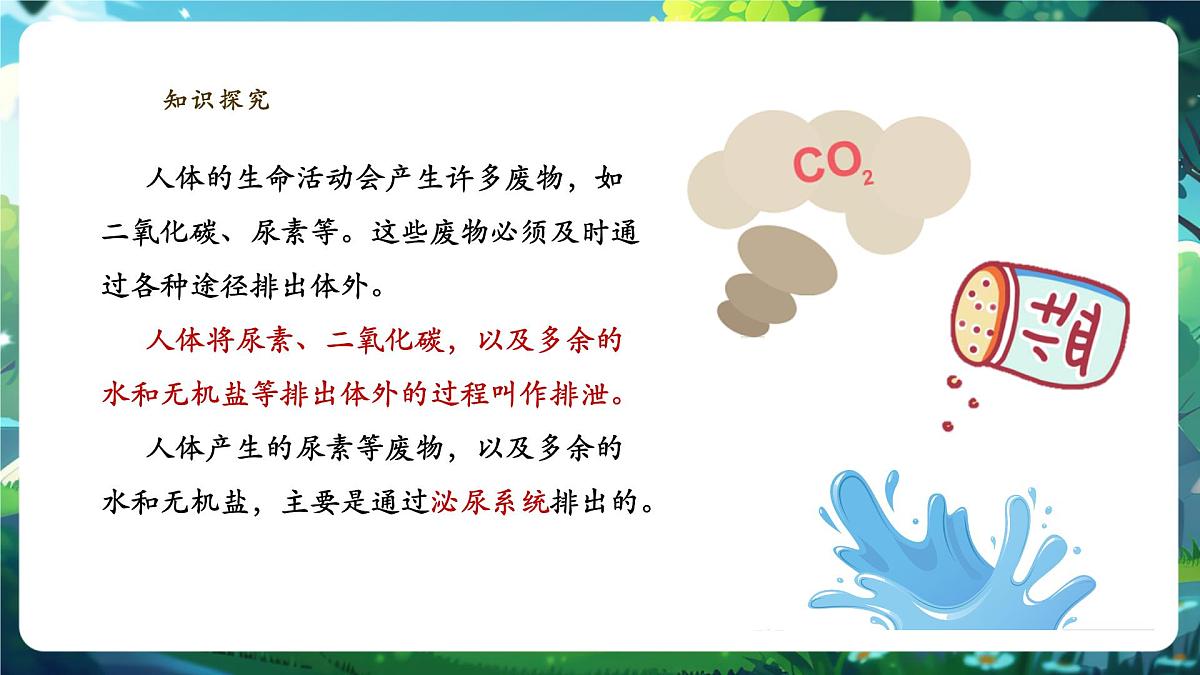 4.5人体内废物的排出 课件第4页
