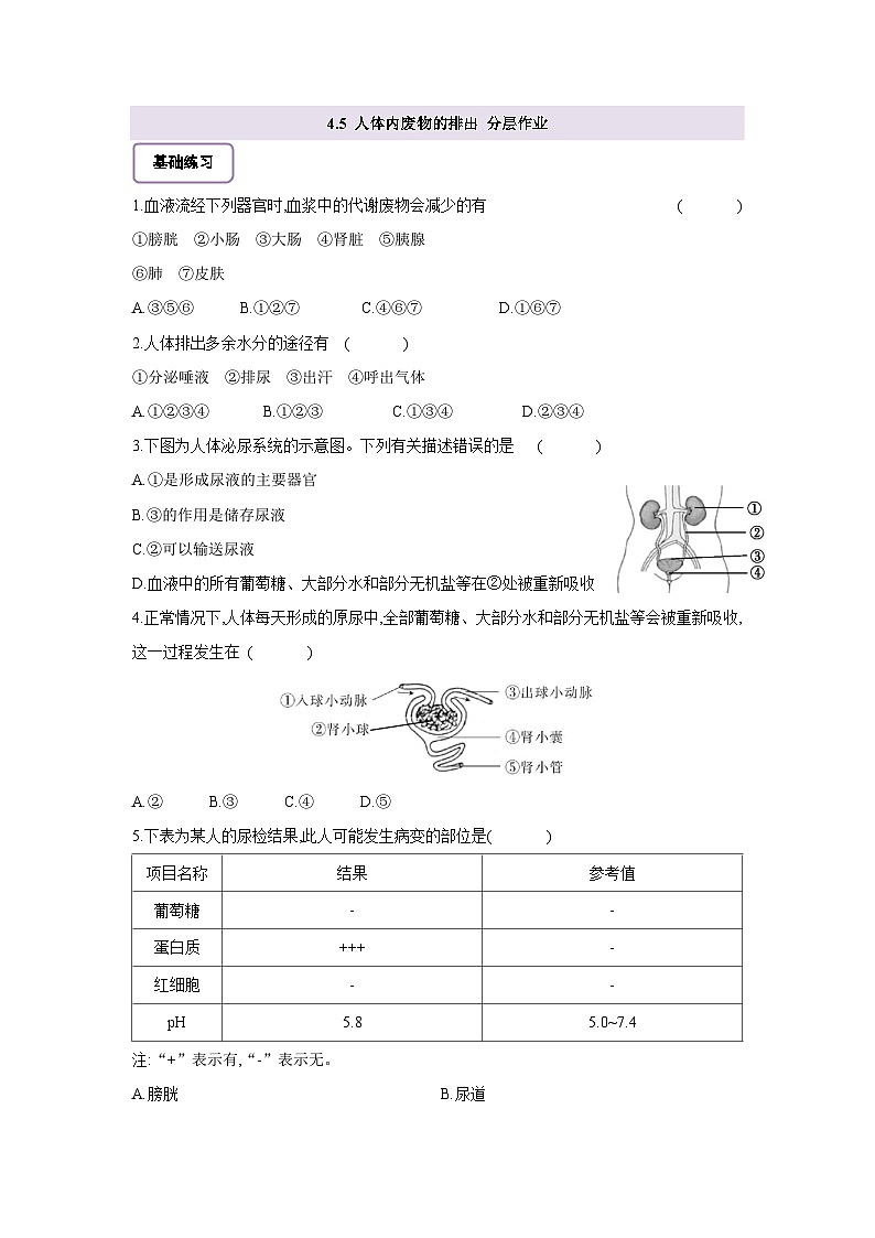 4.5人体内废物的排出 分层作业（含答案）第1页