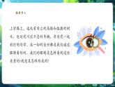 【核心素養(yǎng)優(yōu)質(zhì)課】冀少版生物七年級下冊 3.5.3.1感覺的形成（視覺）（課件+同步教案+導(dǎo)學(xué)案+分層作業(yè)）