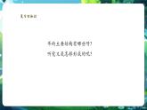 【核心素養(yǎng)優(yōu)質(zhì)課】冀少版生物七年級(jí)下冊(cè) 3.5.4運(yùn)動(dòng)的完成（課件+同步教案+導(dǎo)學(xué)案+分層作業(yè)）