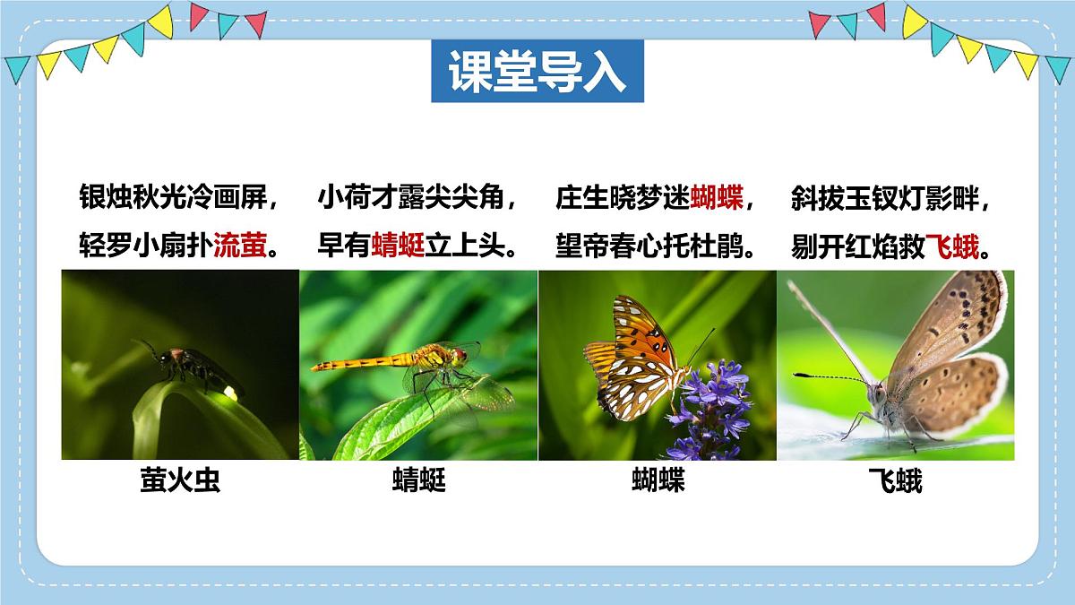 2.2.1无脊椎动物体内没有脊柱-第2课时课件-2024--2025学年济南版生物七年级上册第3页