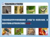 2.2.1無脊椎動(dòng)物體內(nèi)沒有脊柱-第2課時(shí)課件-2024--2025學(xué)年濟(jì)南版生物七年級(jí)上冊