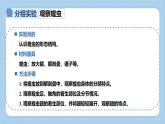 2.2.1無脊椎動(dòng)物體內(nèi)沒有脊柱-第2課時(shí)課件-2024--2025學(xué)年濟(jì)南版生物七年級(jí)上冊