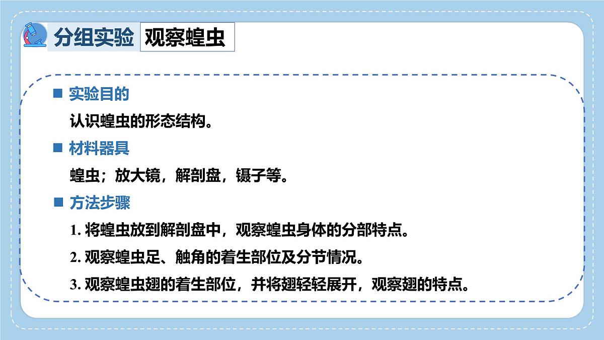 2.2.1无脊椎动物体内没有脊柱-第2课时课件-2024--2025学年济南版生物七年级上册第5页