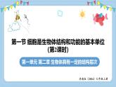 1.2.1細(xì)胞是生物體結(jié)構(gòu)和功能的基本單位-第2課時課件 2025學(xué)年濟(jì)南版生物七年級上冊