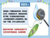 1.2.1細(xì)胞是生物體結(jié)構(gòu)和功能的基本單位-第2課時課件 2025學(xué)年濟(jì)南版生物七年級上冊