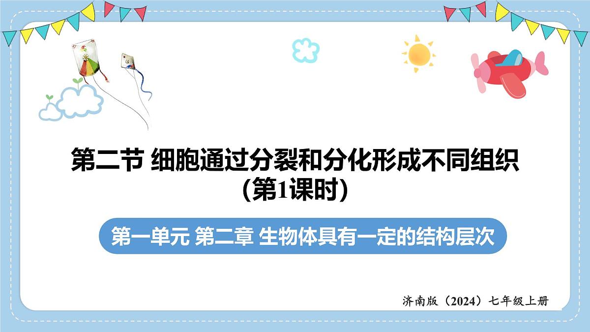 1.2.2细胞通过分裂和分化形成不同组织-第1课时课件 2025学年济南版生物七年级上册第1页