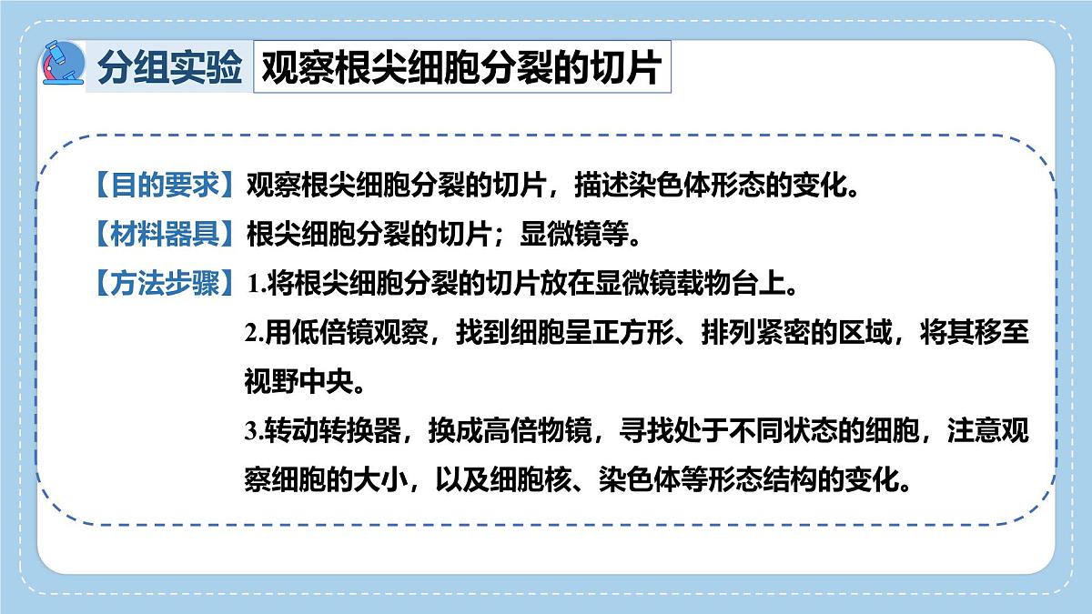 1.2.2细胞通过分裂和分化形成不同组织-第1课时课件 2025学年济南版生物七年级上册第6页