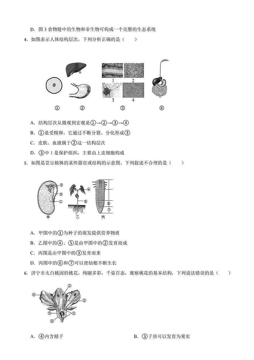2025年山东省济宁市中考三模生物试题附答案第2页