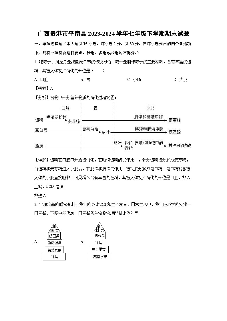 广西贵港市平南县2023-2024学年七年级下学期期末生物试题第1页