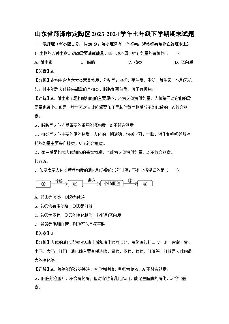 山东省菏泽市定陶区2023-2024学年七年级下学期期末生物试题第1页