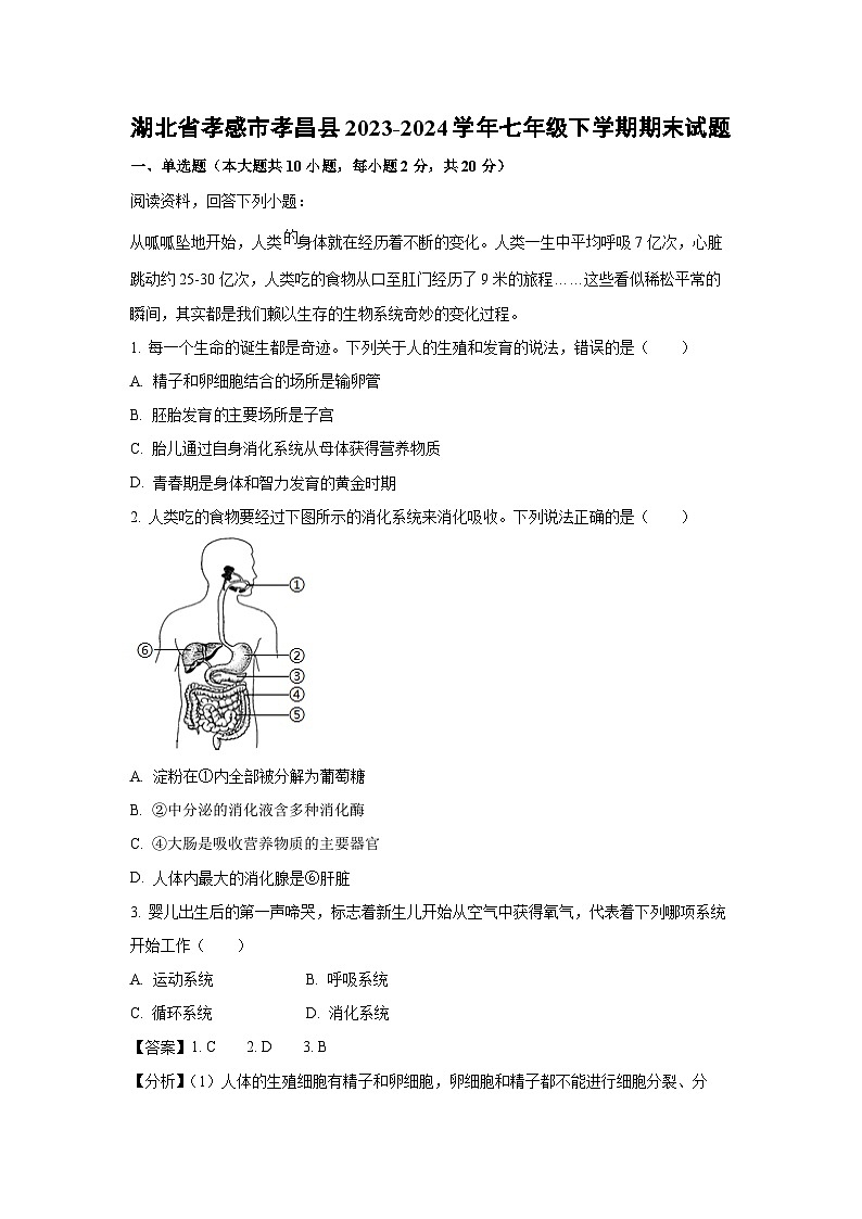 湖北省孝感市孝昌县2023-2024学年七年级下学期期末生物试题第1页