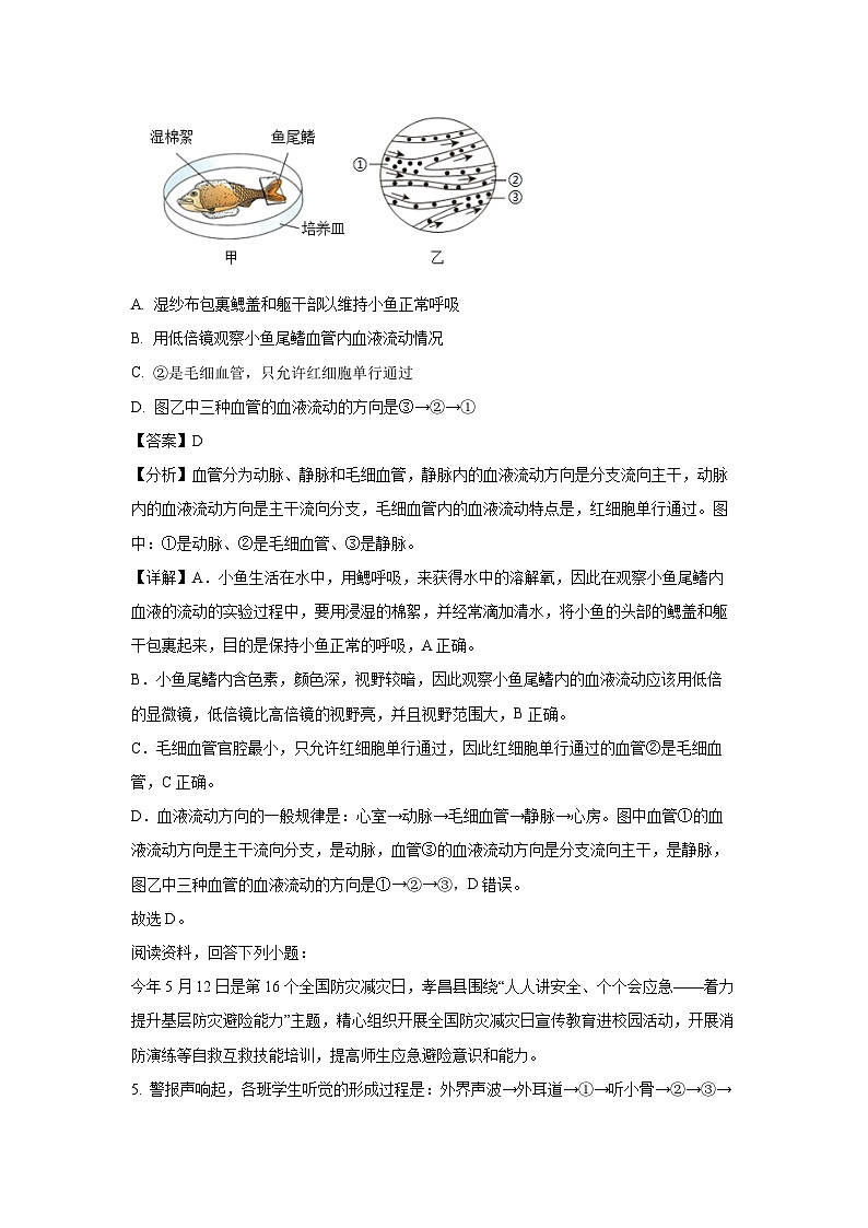 湖北省孝感市孝昌县2023-2024学年七年级下学期期末生物试题第3页