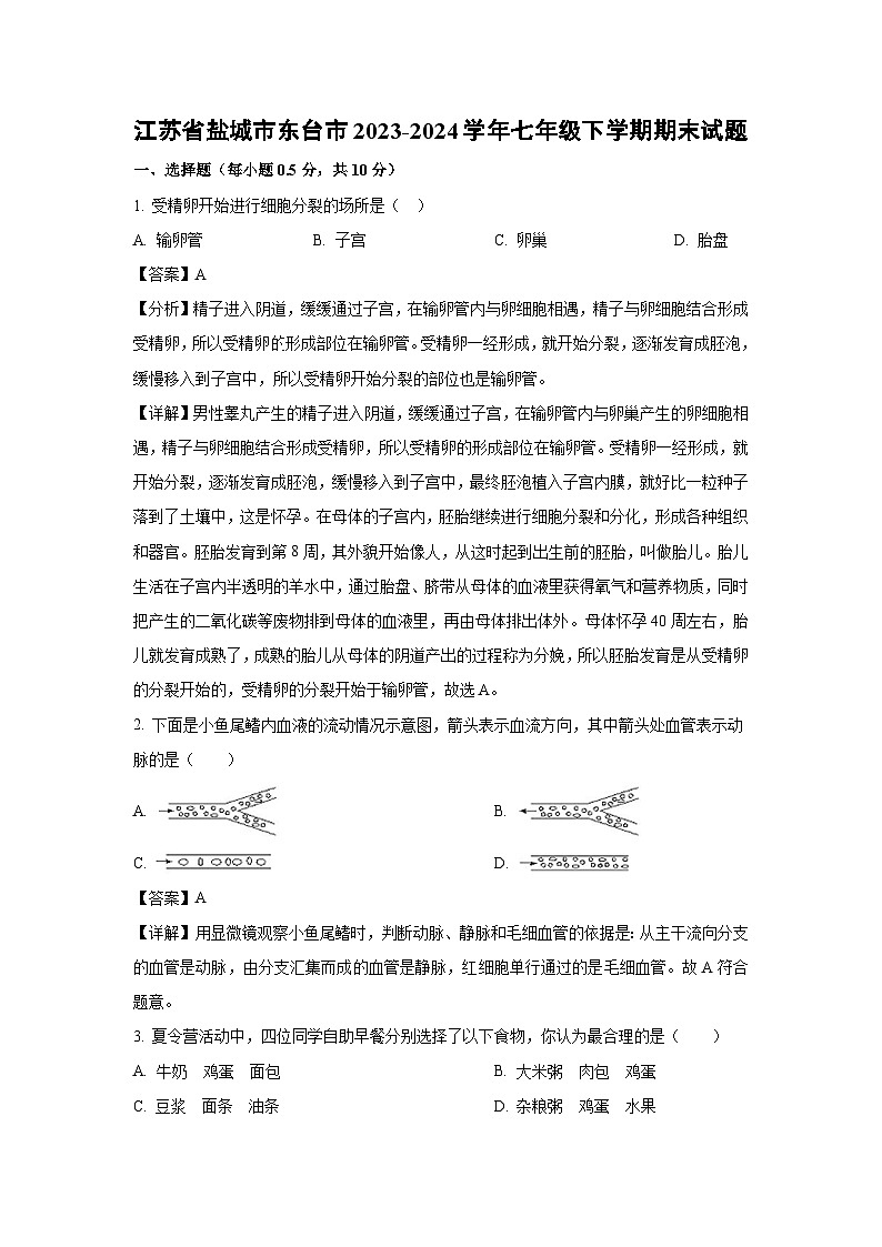 江苏省盐城市东台市2023-2024学年七年级下学期期末生物试题第1页