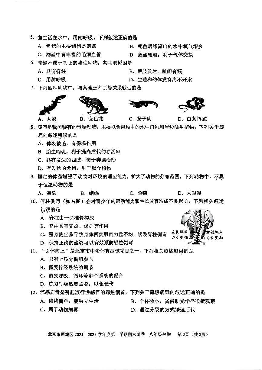 2025北京西城初二一模[中考模拟]生物试卷第2页