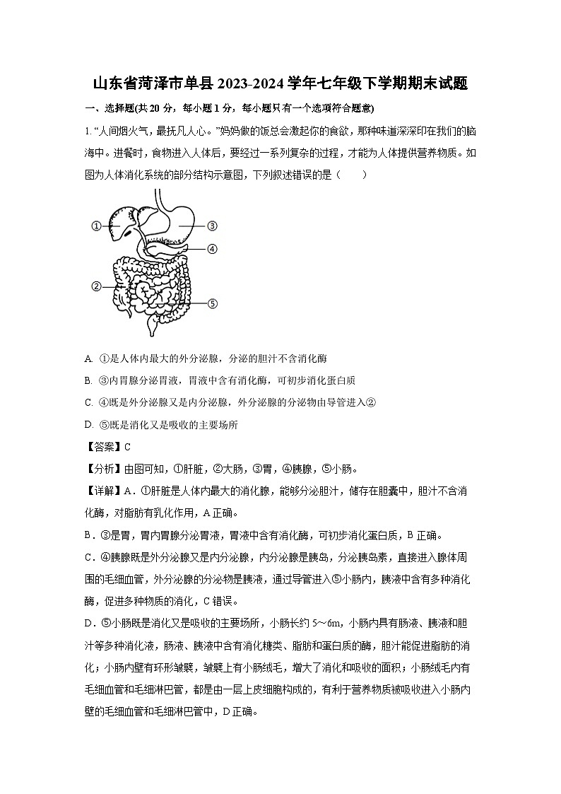 山东省菏泽市单县2023-2024学年七年级下学期期末生物试题第1页