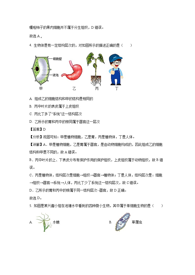2025年黑龙江省大庆市八年级中考一模生物试题（解析版）第3页