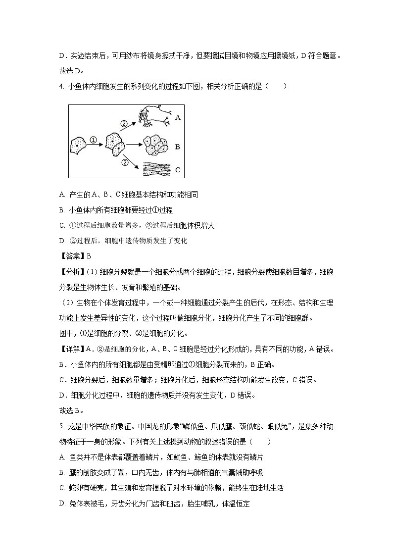 2025年河北省石家庄市十八县八年级中考一模生物试题（解析版）第3页