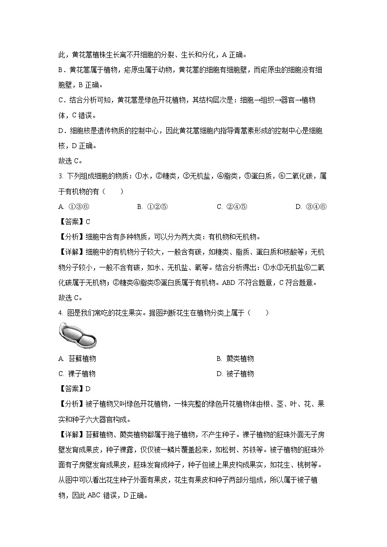 2025年海南省省东方市八年级中考一模生物试题（解析版）第2页