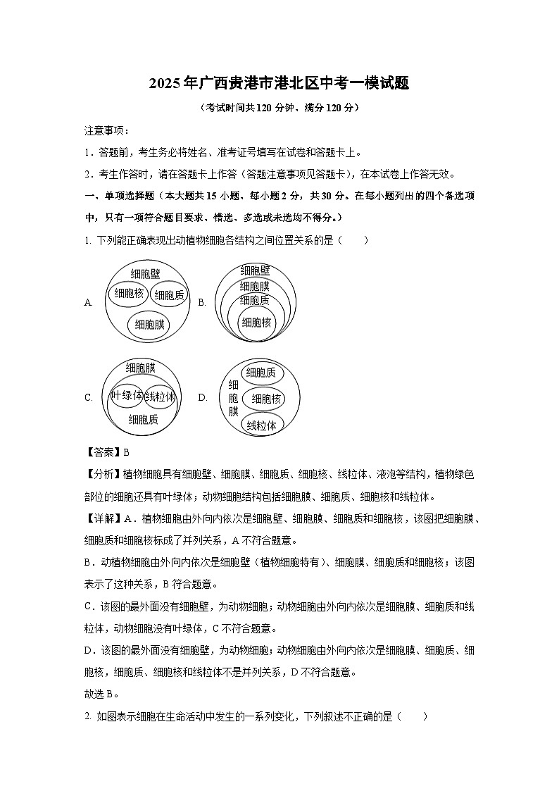 2025年广西贵港市港北区中考一模生物试题（解析版）第1页