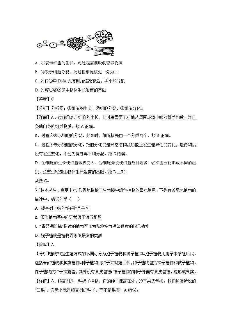 2025年广西贵港市港北区中考一模生物试题（解析版）第2页