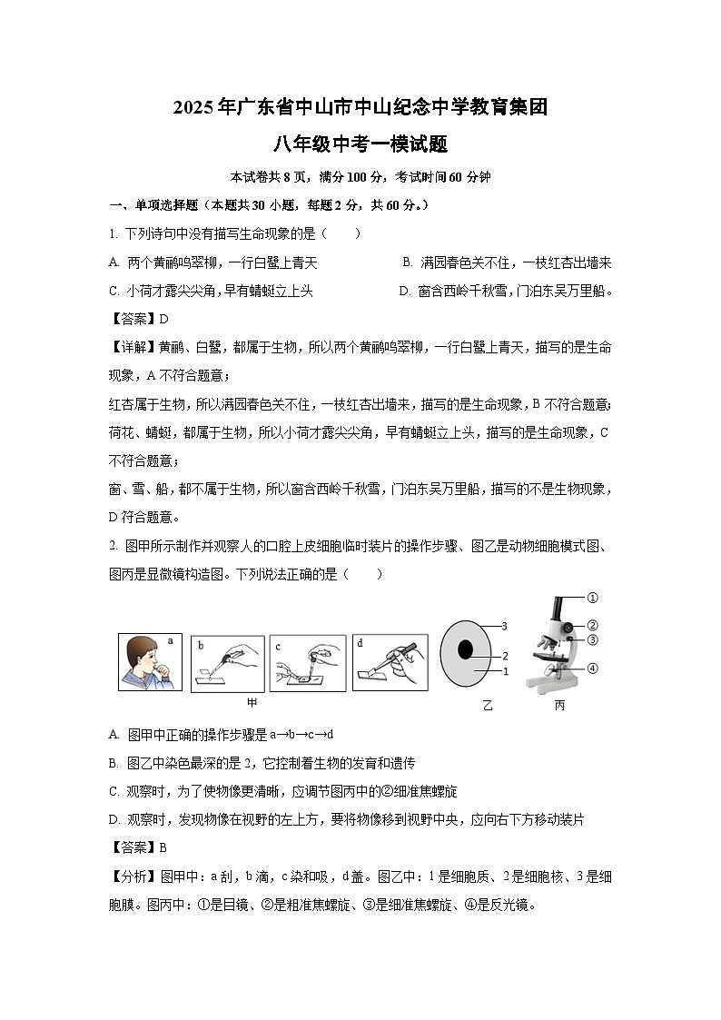 2025年广东省中山市中山纪念中学教育集团八年级中考一模生物试题（解析版）第1页