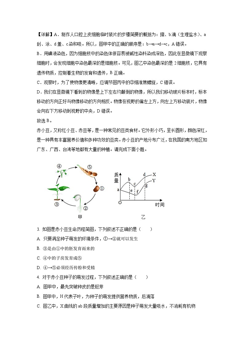 2025年广东省中山市中山纪念中学教育集团八年级中考一模生物试题（解析版）第2页