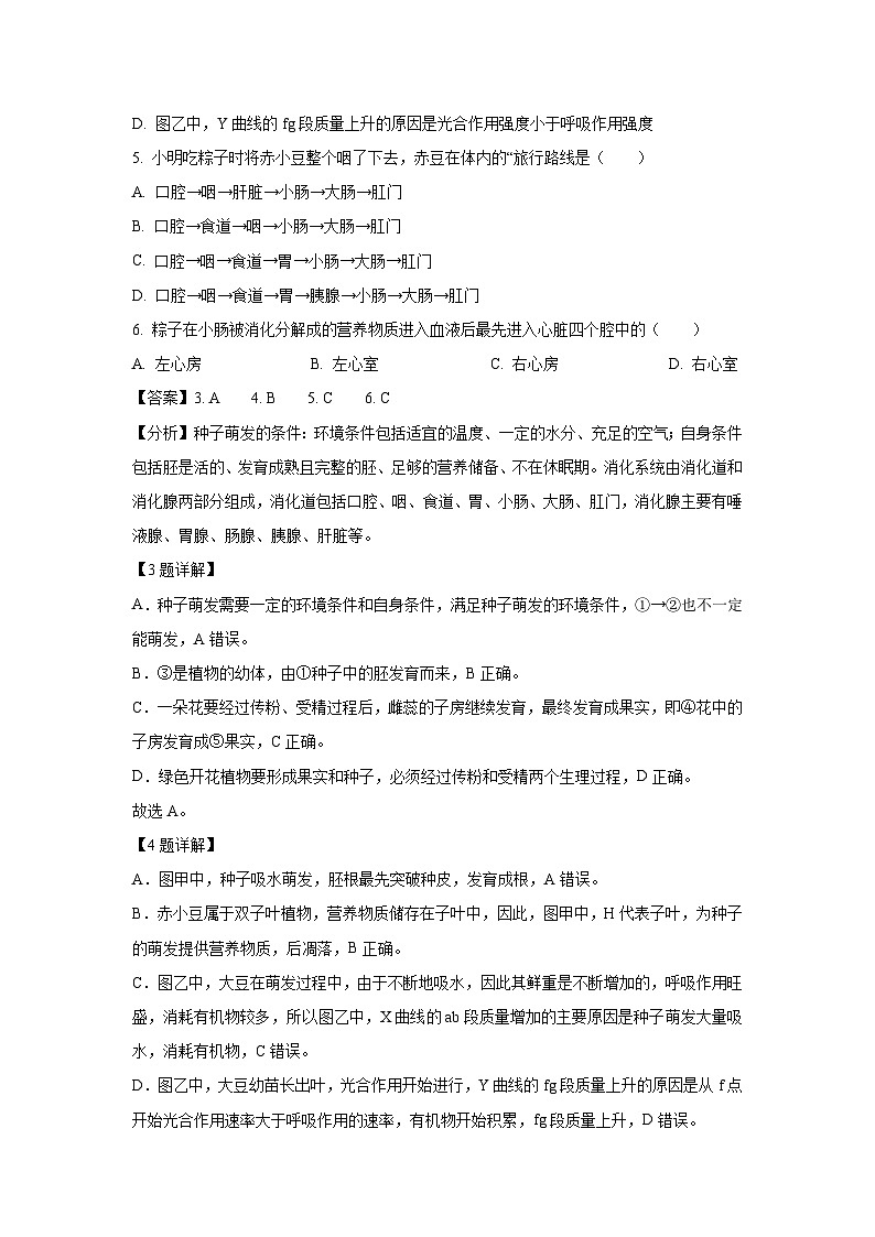 2025年广东省中山市中山纪念中学教育集团八年级中考一模生物试题（解析版）第3页