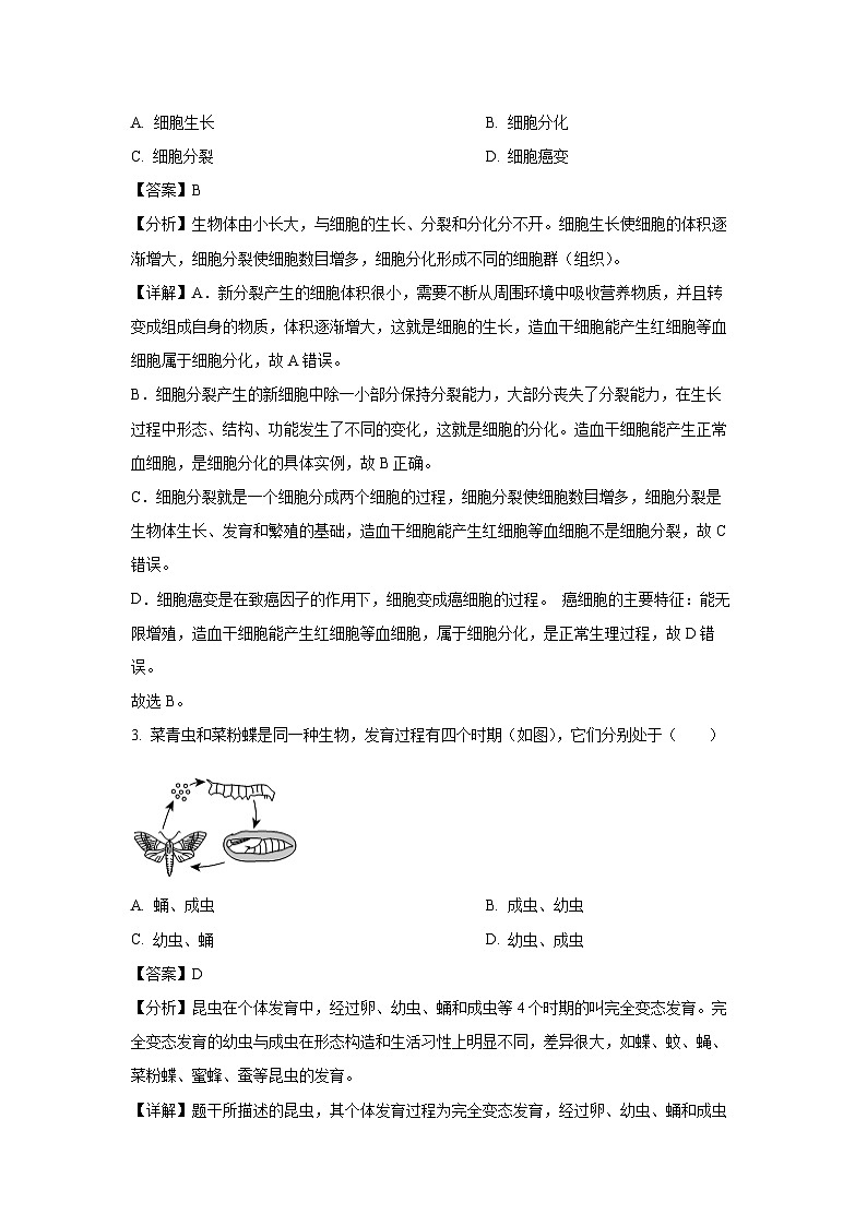 2025年广东省清远市英德市八年级中考一模生物试题（解析版）第2页