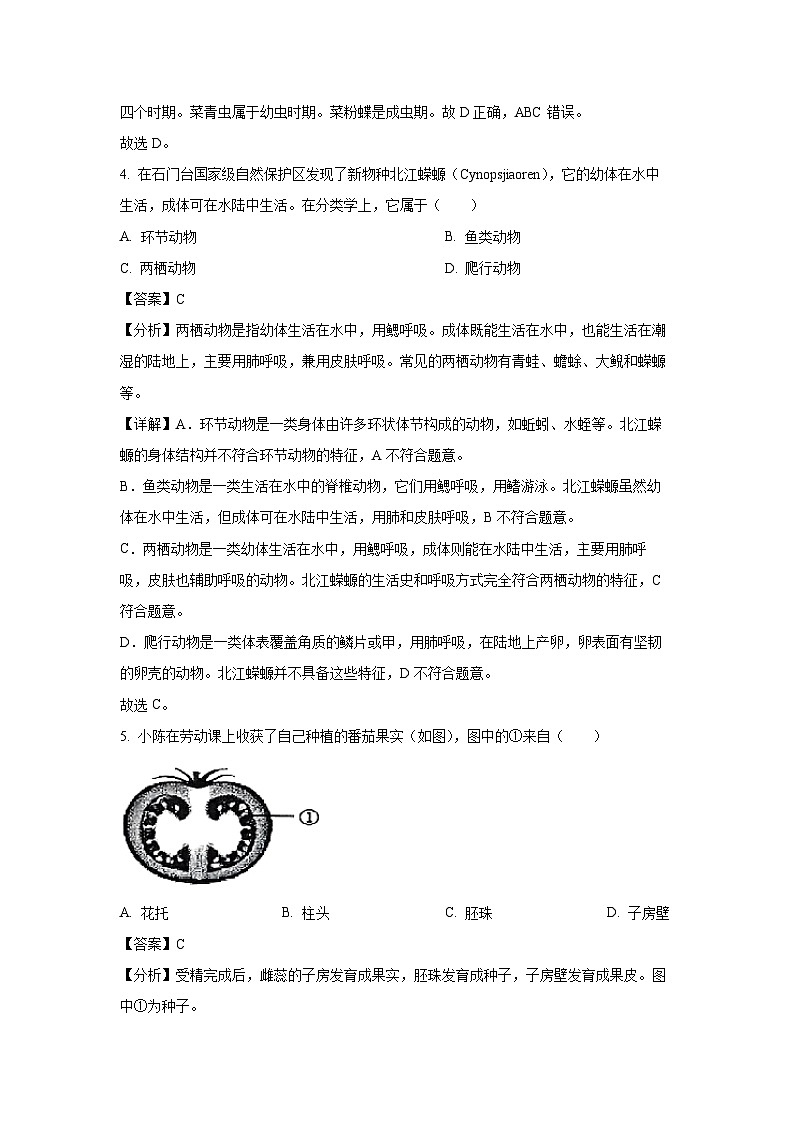 2025年广东省清远市英德市八年级中考一模生物试题（解析版）第3页