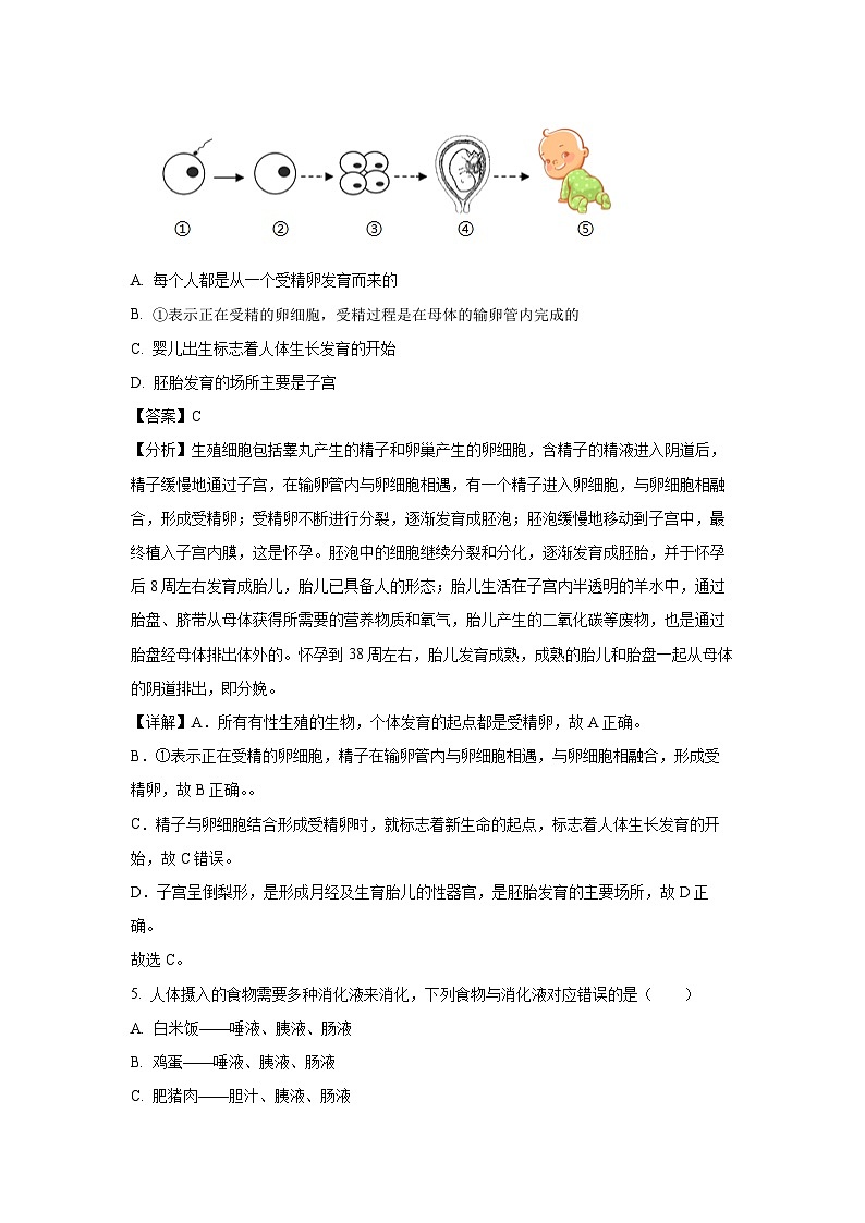 2025年甘肃省武威市凉州区凉州区中考一模生物试题（解析版）第3页