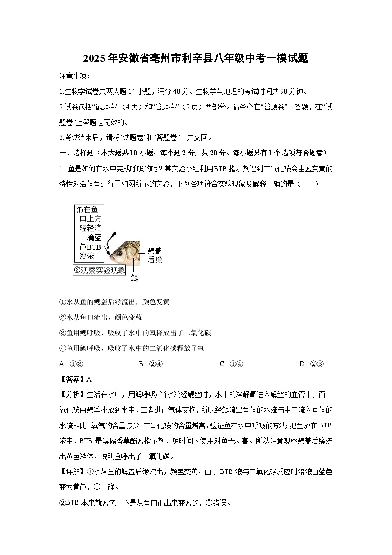 2025年安徽省亳州市利辛县八年级中考一模生物试题（解析版）第1页