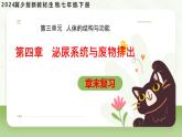 第四章 泌尿系統(tǒng)與廢物排出（章末復(fù)習(xí)課件）-2024-2025學(xué)年七年級生物下冊（冀少版2024）