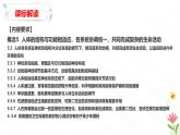 第五章 人體生命活動(dòng)的調(diào)節(jié)（章末復(fù)習(xí)課件）-2024-2025學(xué)年七年級(jí)生物下冊(cè)（冀少版2024）