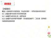 第二章  循環(huán)系統(tǒng)與物質(zhì)運輸（章末復(fù)習(xí)課件）-2024-2025學(xué)年七年級生物下冊（冀少版2024）