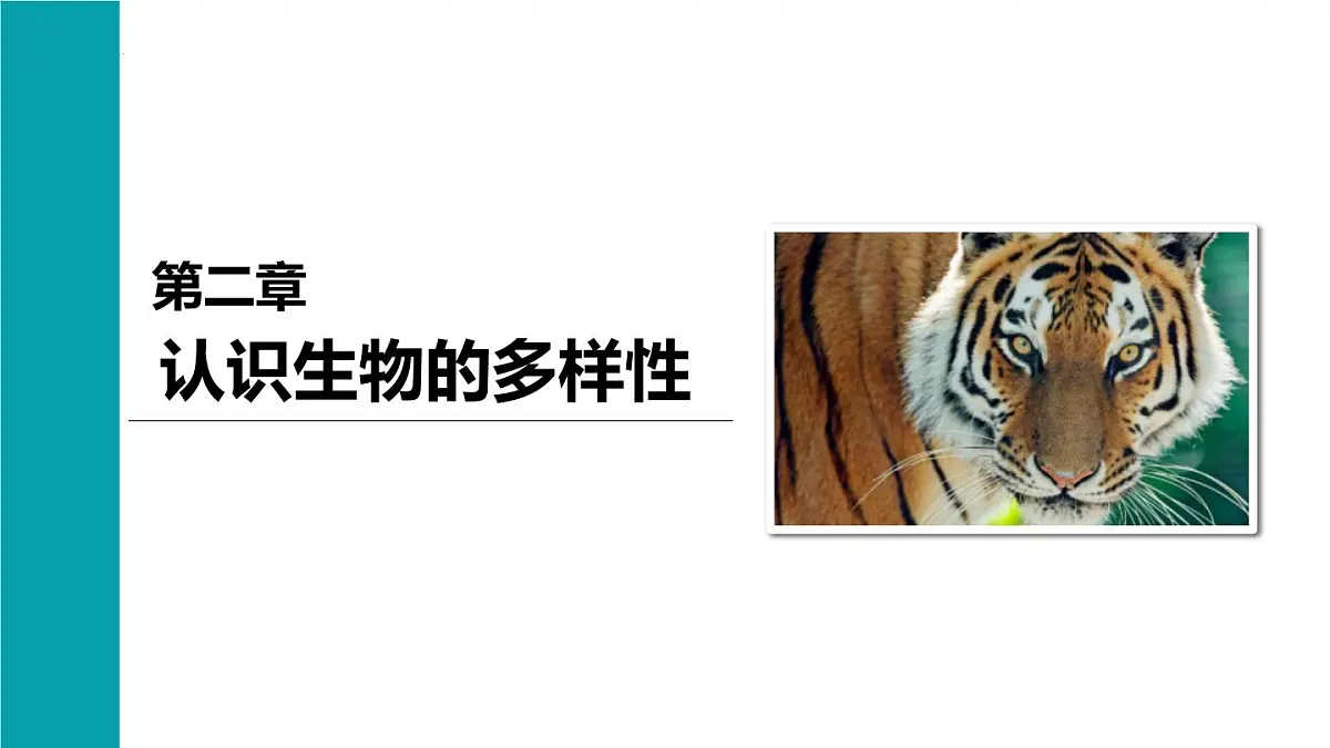 人教版（2024）生物八年级上册6.2.认识生物的多样性课件第1页