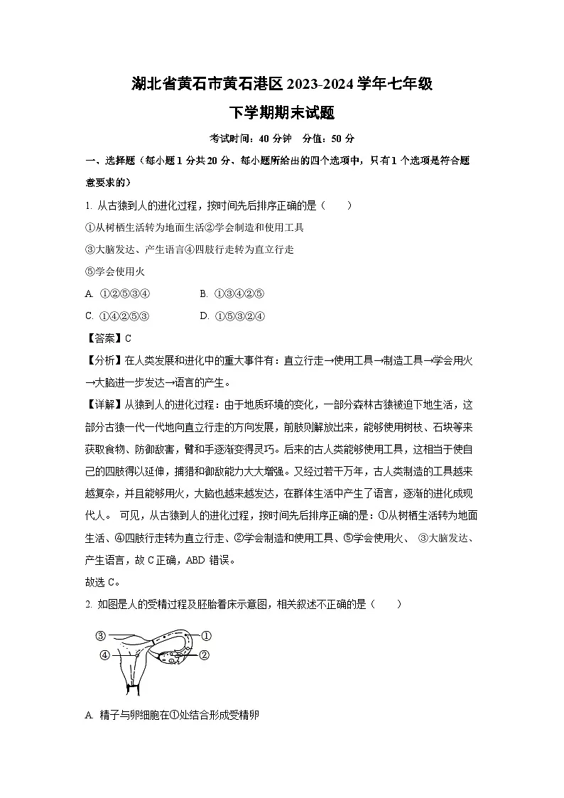 湖北省黄石市黄石港区2023-2024学年七年级下学期期末生物试题（解析版）第1页