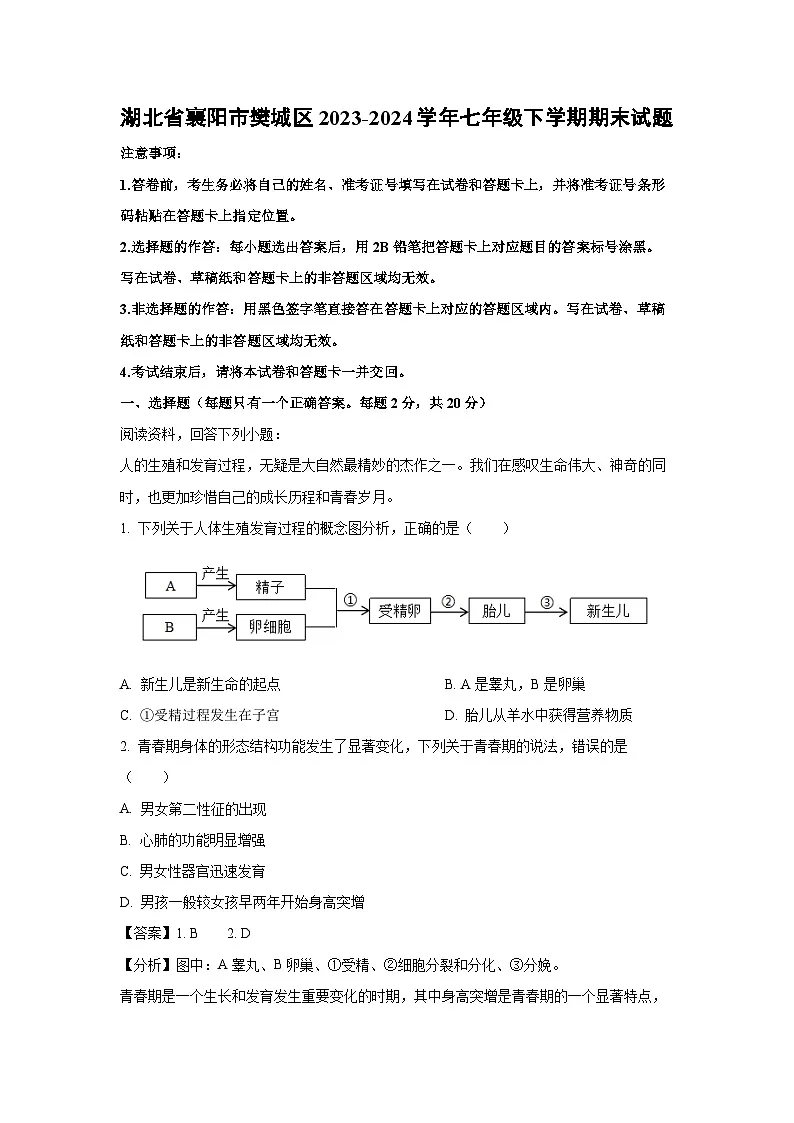 湖北省襄阳市樊城区2023-2024学年七年级下学期期末生物试题（解析版）第1页