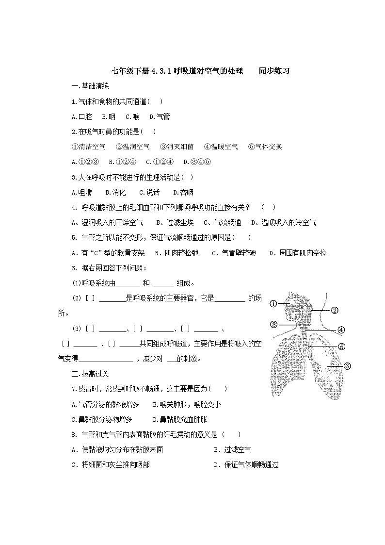 人教版七年级生物下册呼吸道对空气的处理同步练习试卷含答案第1页