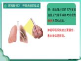 人教版初中生物七下4.3.1  呼吸道对空气的处理课件