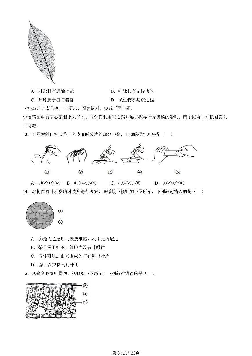2025北京初一（上）期末真题生物汇编：绿色植物的光合作用（京改版）第3页