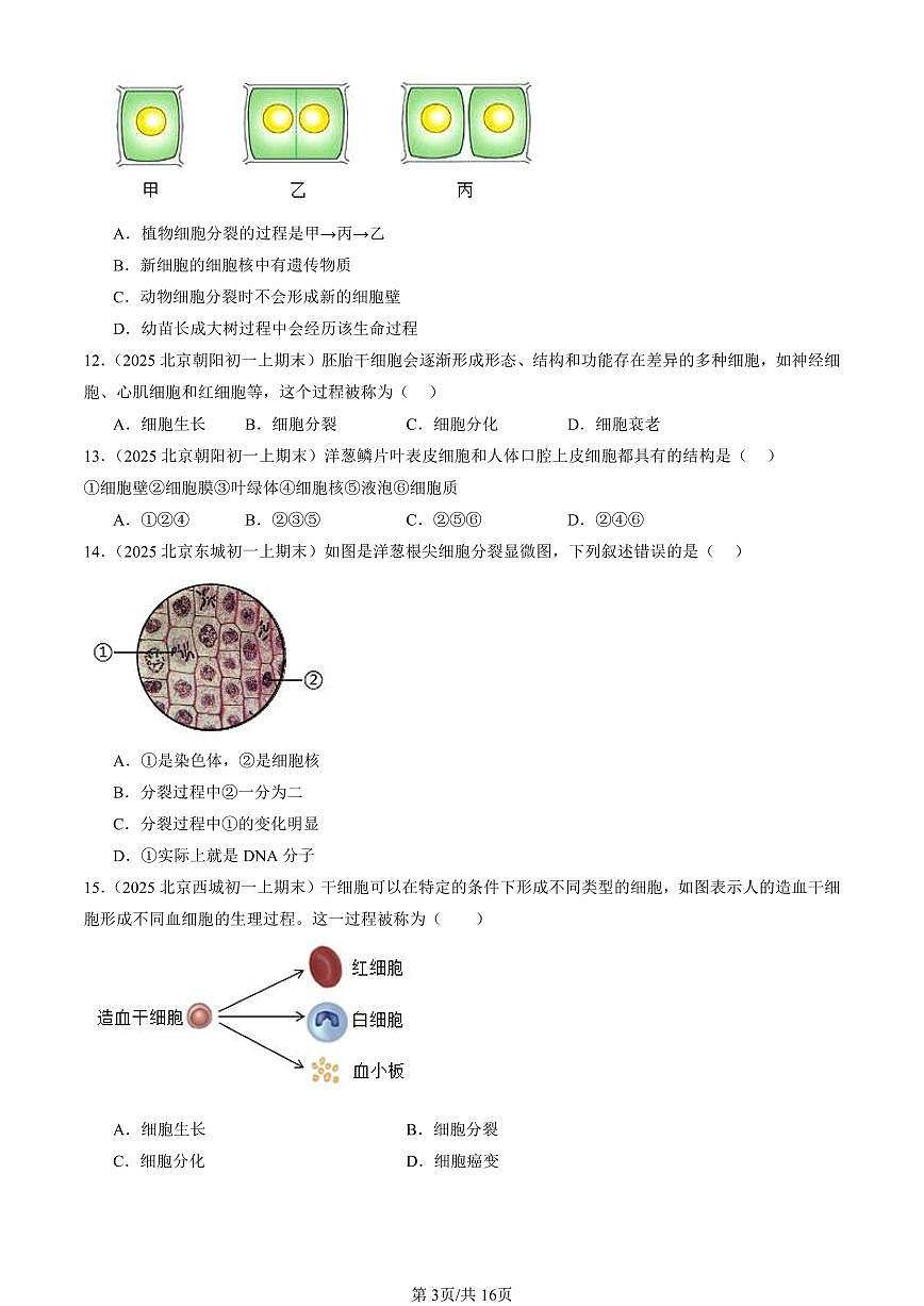 2025北京初一（上）期末真题生物汇编：细胞（京改版）第3页